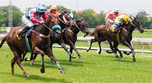 Horse Racing Analytics Platform Built with Cursor AI