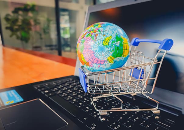 Data Labeling for A Global Retail Chain