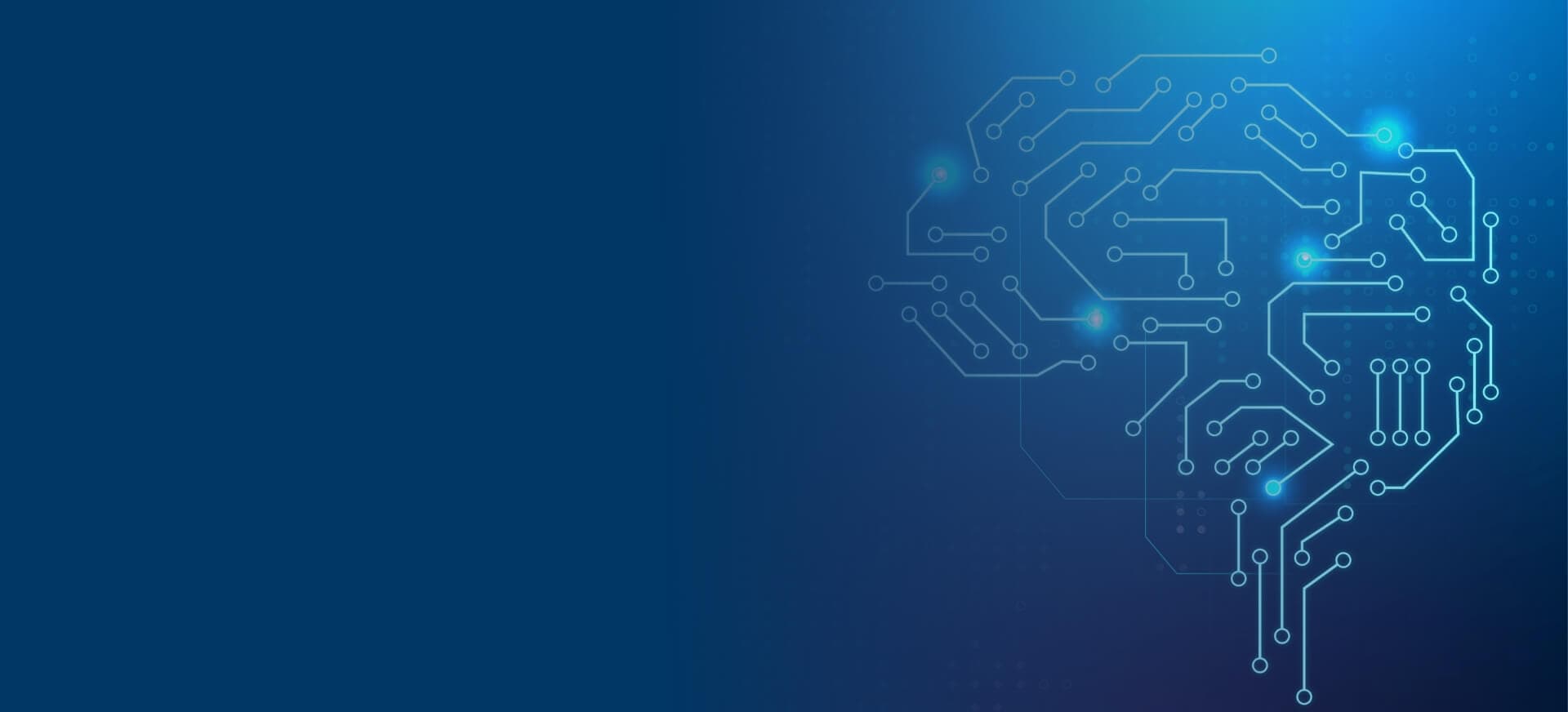 Deep Learning Company