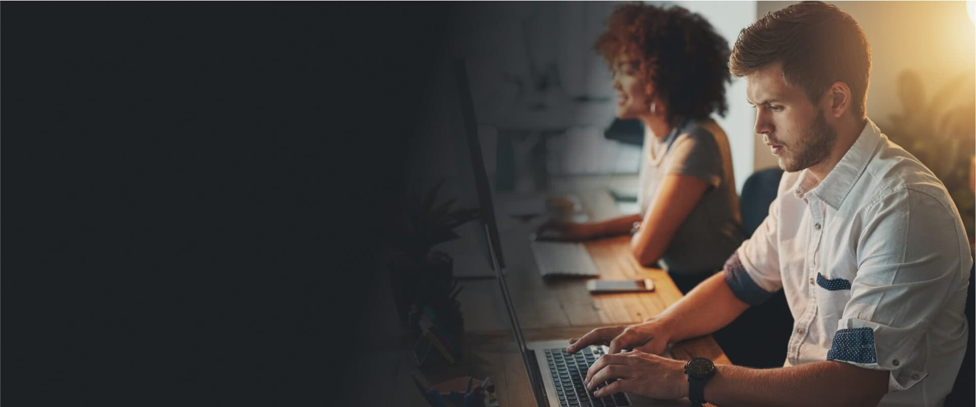 Headless WordPress Development Services