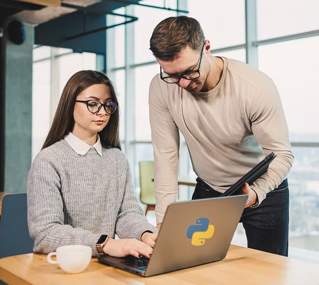 Customer-Centric Solutions Our Python Developers Build
