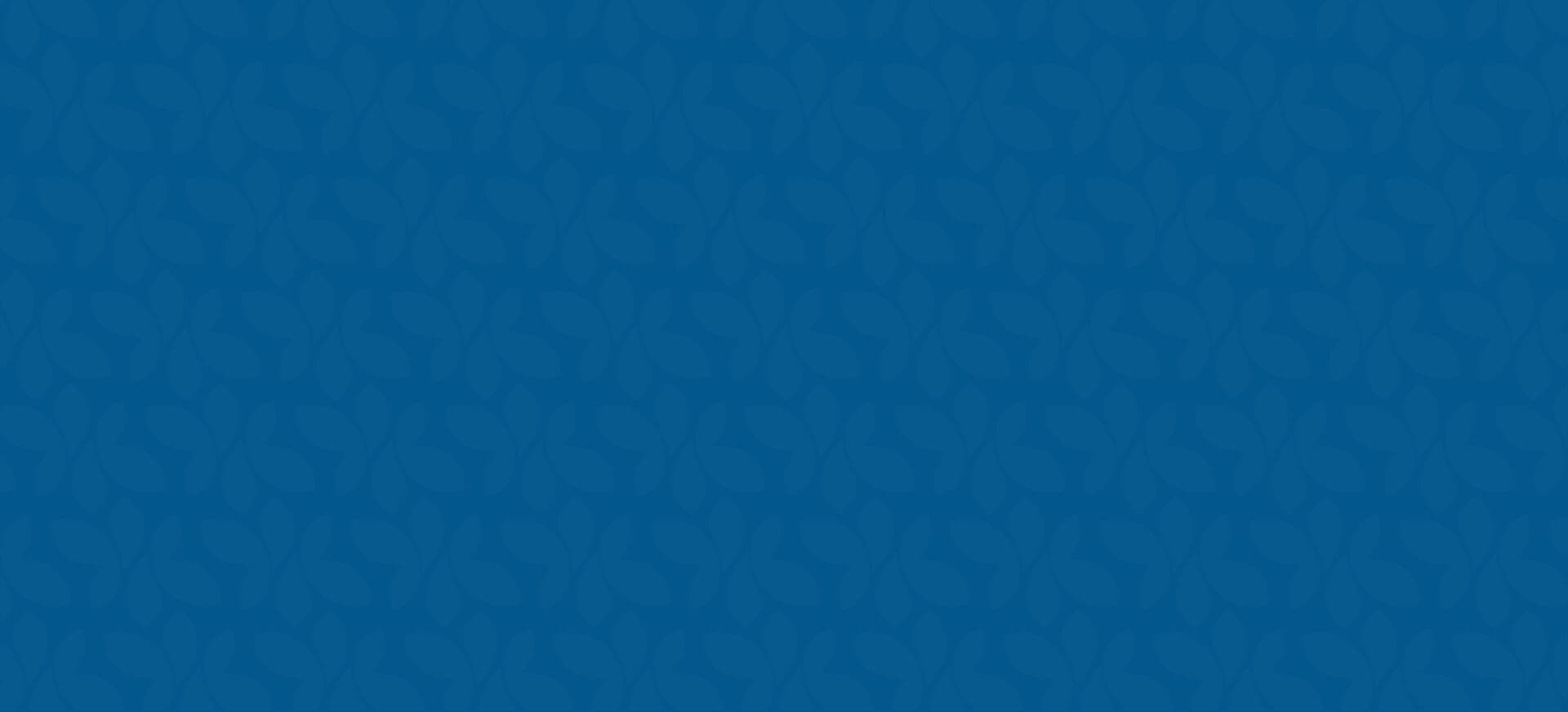 Hire Yii Developer