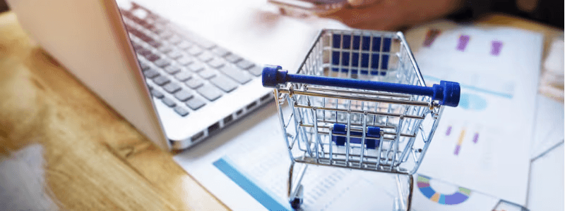 Domestic E-Commerce Retailer in Canada