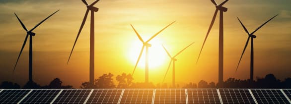 Renewable Energy Business's Website Migration to Webflow