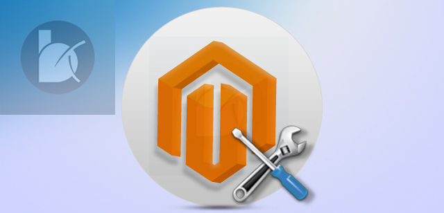 Magento Customization Services