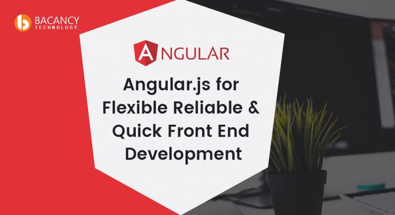 Angular js flexible reliable and quick front end