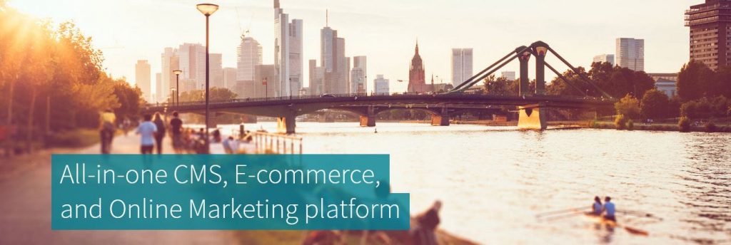 hire kentico developer