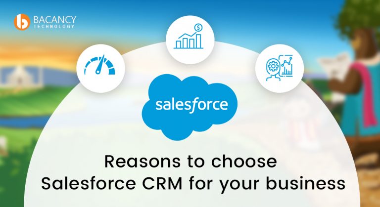 Salesforce Development Company