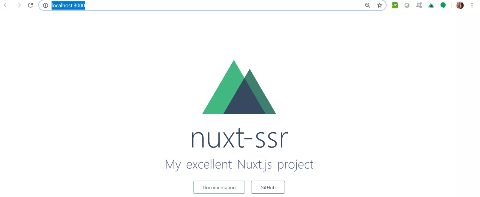 npm run dev