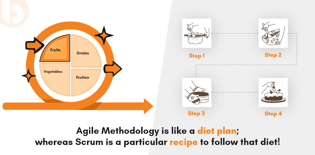 agile and scrum diet plan