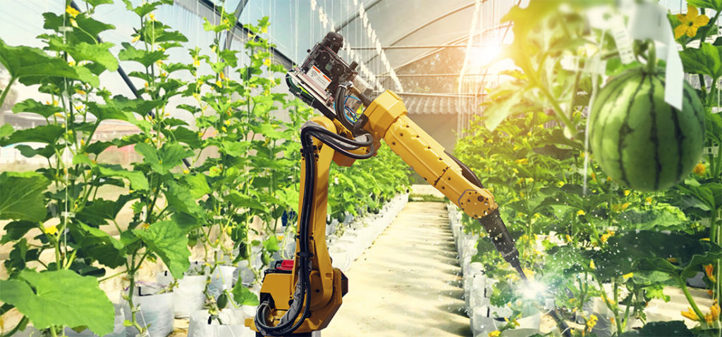 7 Super Cool Agriculture Technology Trends For 2022