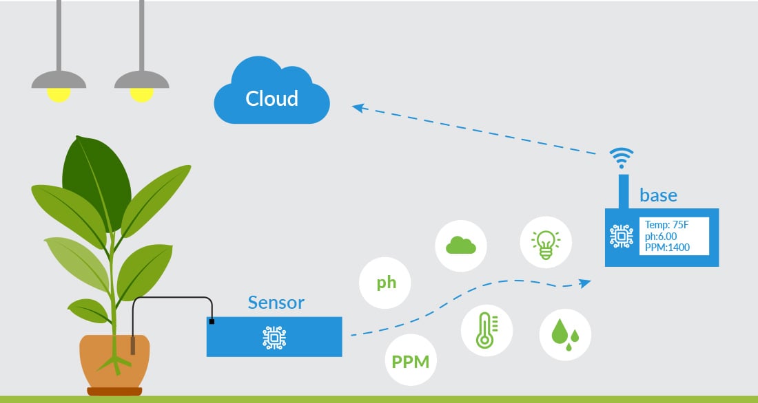 IoT in Agriculture