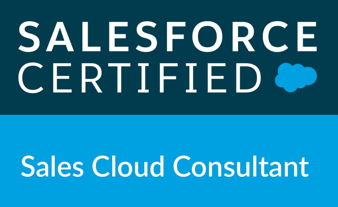 Salesforce Certified Consultant 