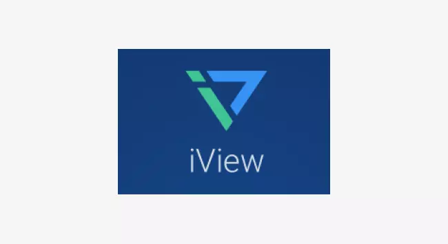 iView