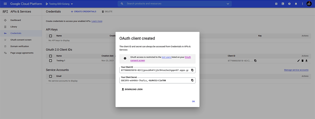 Download the JSON file