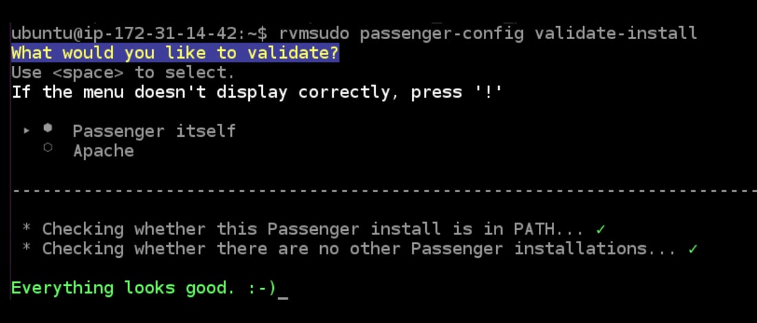 Install Passenger and NGINX