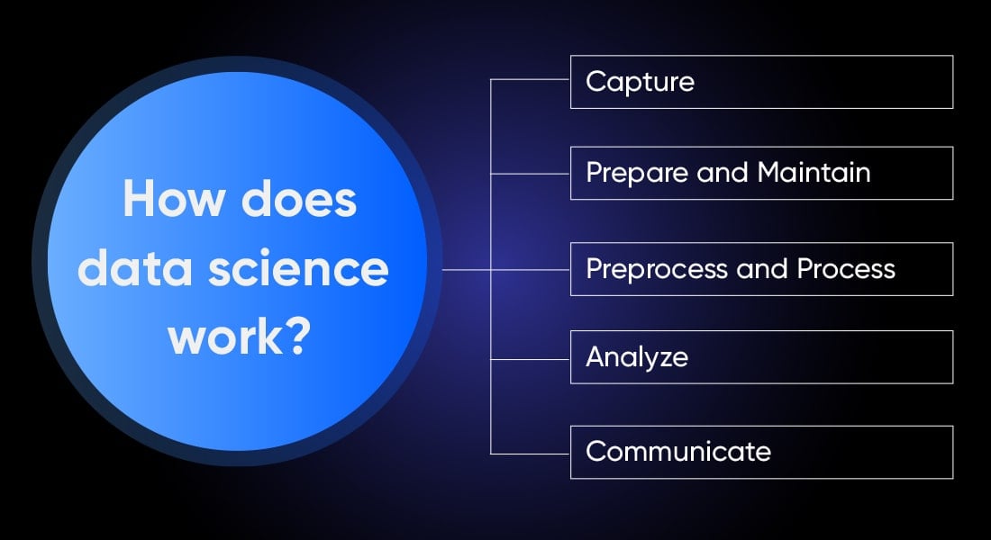 How Does Data Science Work