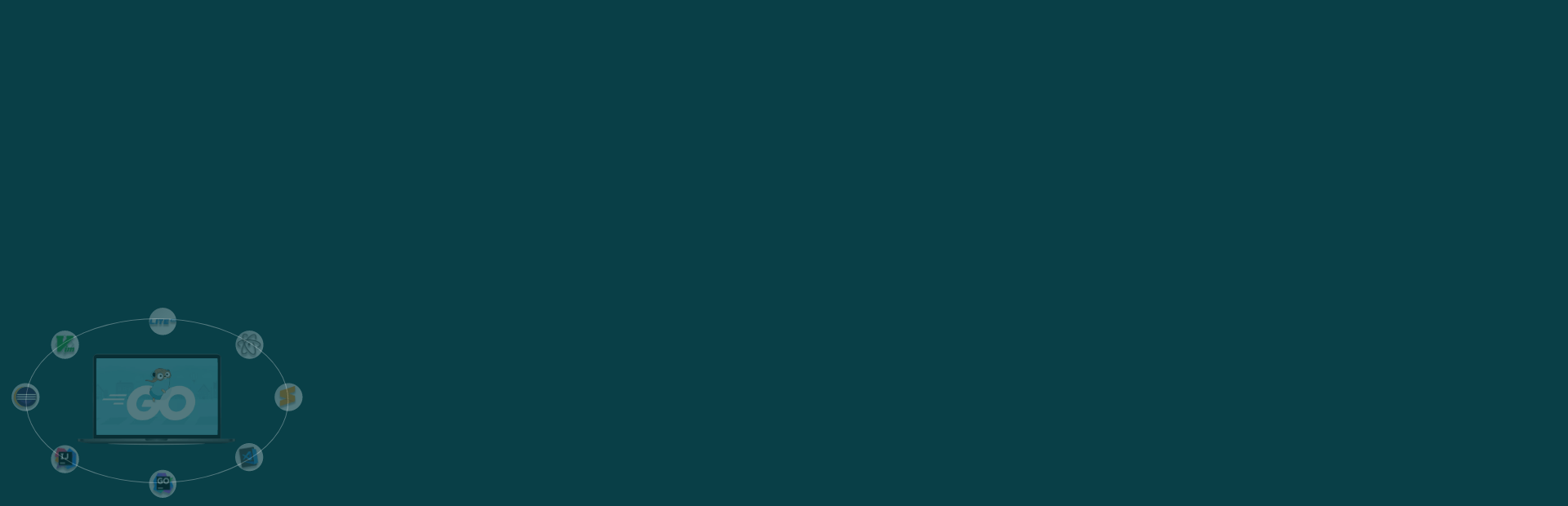 Best IDEs and Tools For Golang Development