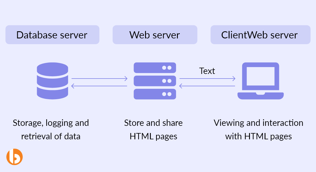 Dynamic web app