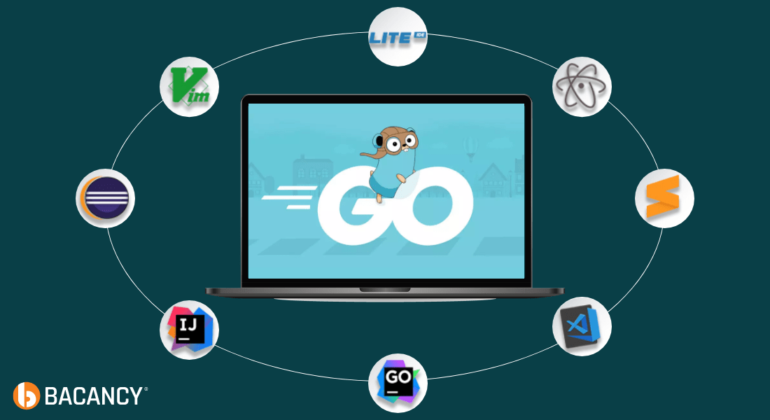 Best IDEs and Tools For Golang Web Development