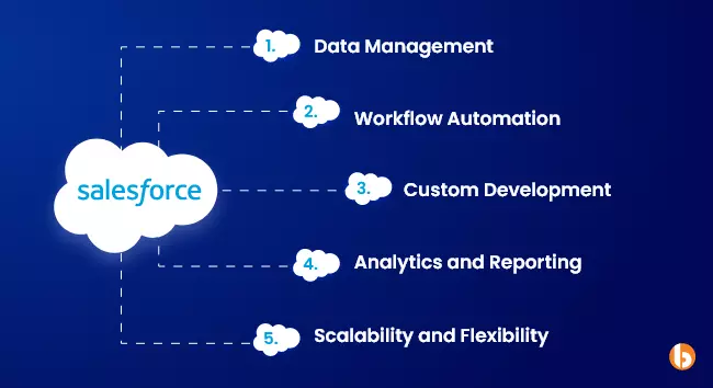 Capabilities of Salesforce API Integration