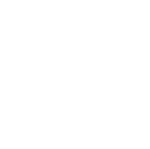 Creating a Cryptocurrency and Digital Wallet with a focus on Security