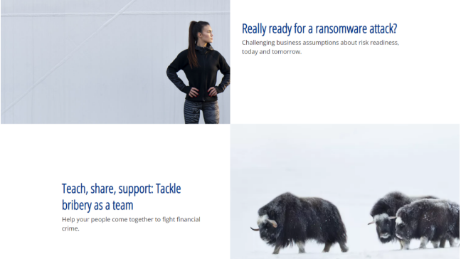 Custom CMS Development: Elevating User Experience & Workflow