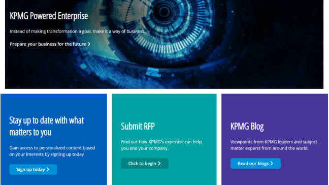 Custom CMS Development: Elevating User Experience & Workflow