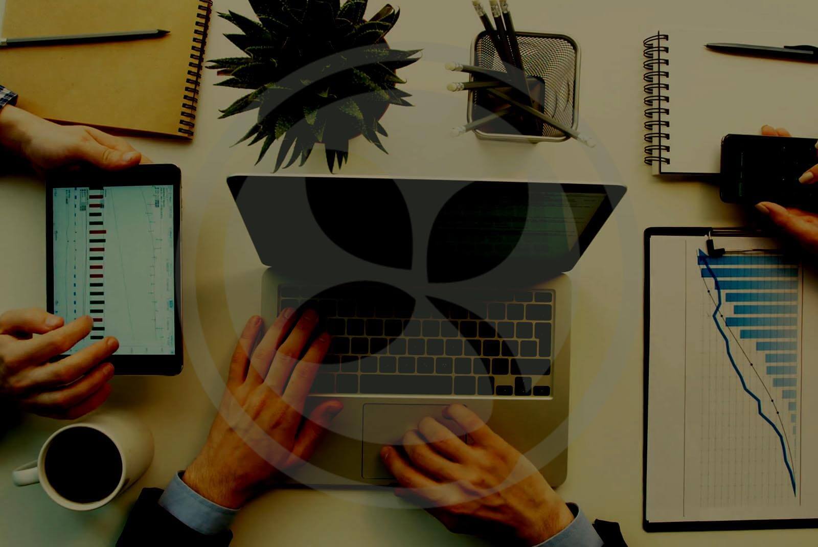 Orchard cms development