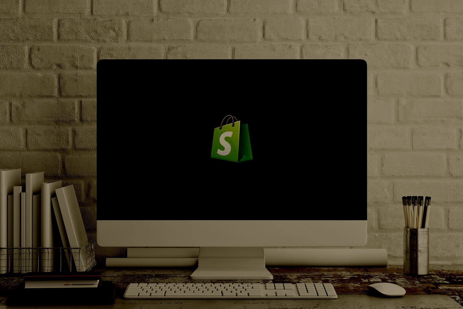Shopify eCommerce Solution