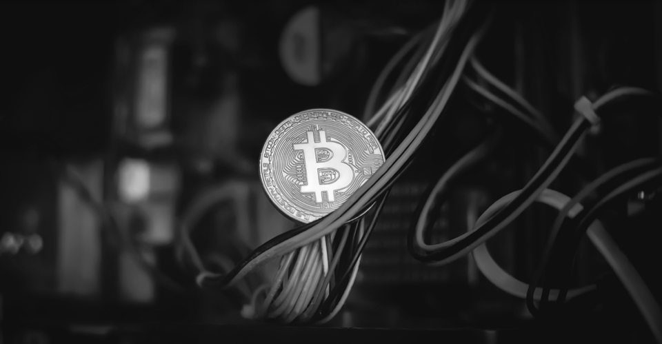 Blockchain Platforms