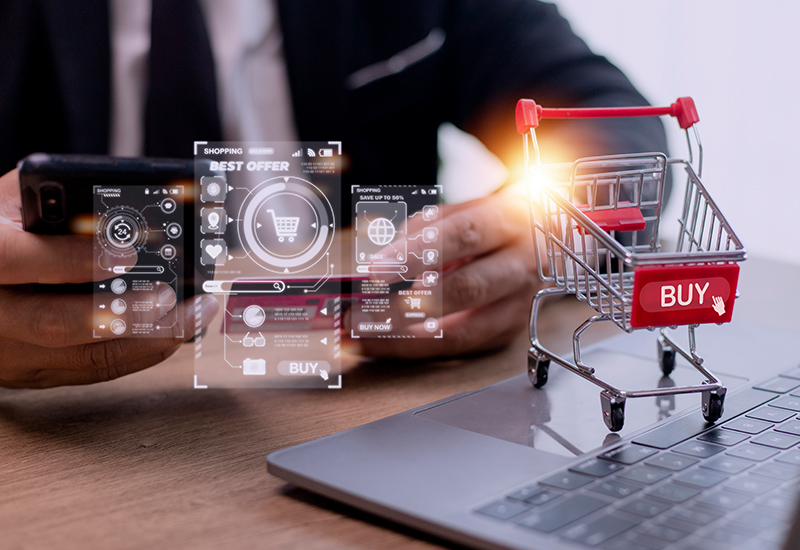 Digital Shopper's Odyssey: An E-commerce Evolution and Success Stories