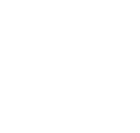Hire .NET Developer