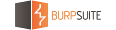 Burp Proxy