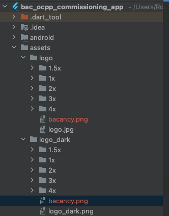 Check Asset Path